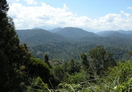 Malezyjczycy odnaleźli cenne metale pod chronionym obszarem. Teraz stoją przed wielkim dylematem