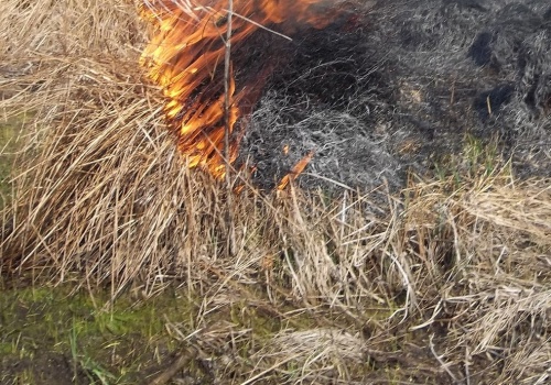 Oświęcim. Szybka interwencja służb po zgłoszeniu pożaru traw