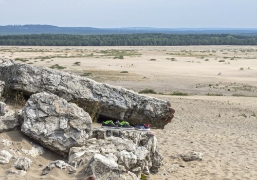 Wiosenny spacer po Pustyni Błędowskiej. Unikalny rejon zachwyca turystów