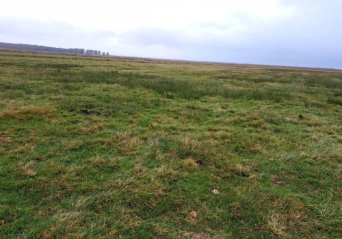 Nowe dopłaty GAEC 2 dla rolników od 2026 r. - nawet 2 387 zł/ha! Kto może skorzystać z dopłat?