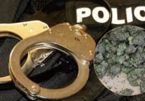 Uderzenie w przestępczość narkotykową w Ciechanowie. Dwóch młodych mężczyzn zatrzymanych