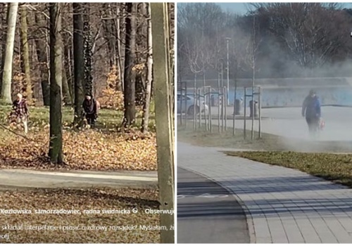 Dmuchawami odkurzają parki i chodniki. Farma Miejska pisze o korzyściach dla środowiska. Co na to ekspert?