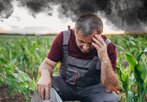 Załamanie koniunktury w rolnictwie. Największy spadek od 30 lat