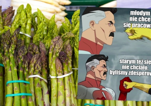 Niemcy cierpią na brak rąk do prostej pracy, szczególnie do słynnych zbiorów szparagów