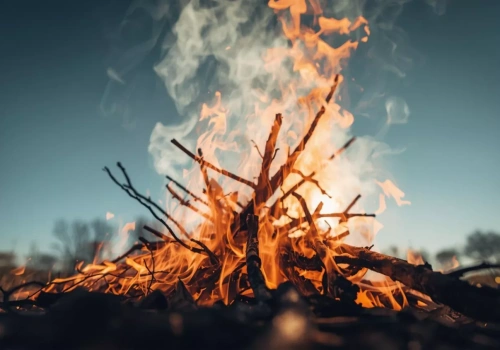 Czy można spalać gałęzie na działce? Przepisy i mandaty dla rolników