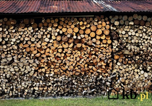 W ten sposób w kilka sekund odróżnisz suche drewno od mokrego. Nie potrzebujesz miernika