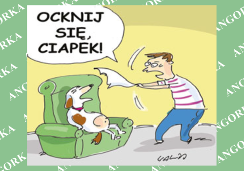 Omdlenie – nie tylko ludzka strategia przetrwania