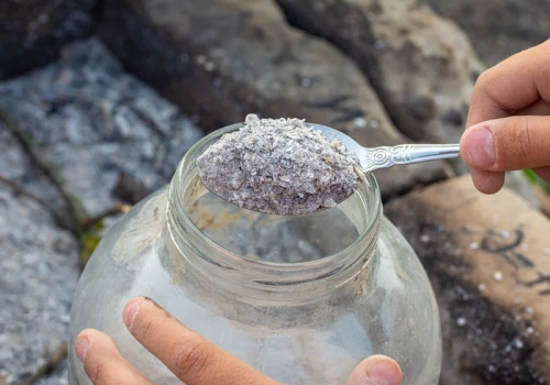 Wsyp garść do ziemi zamiast nawozu. Rośliny ruszą z kopyta i zakwitną szybciej niż zwykle