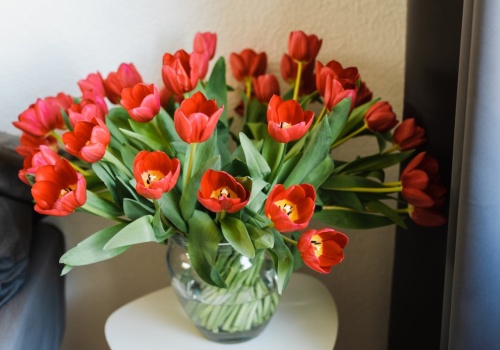 Tulipany zaczynają się wyginać? Florystka zdradziła mi patent z monetą. Różnica jest ogromna