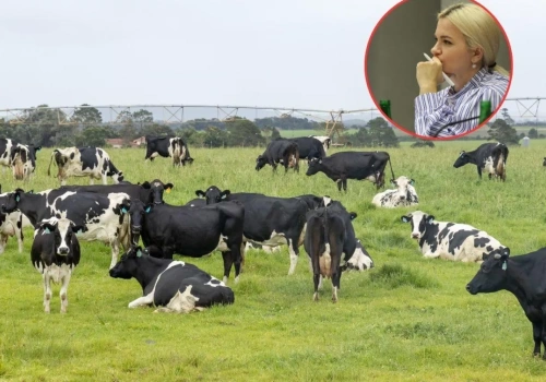 „Mleko po 1,59 zł za litr