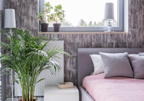 Modne rośliny, które pomagają poprawić jakość powietrza w sypialni. Projektanci wnętrz je uwielbiają