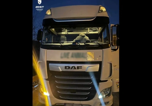 2800 zł kary za brak naklejki, 85 zł kary za przewinienia tacho – kontrola na Ukrainie