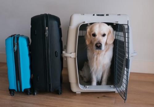 Koniec z limitem 8 kg. Psiarze się ucieszą. 