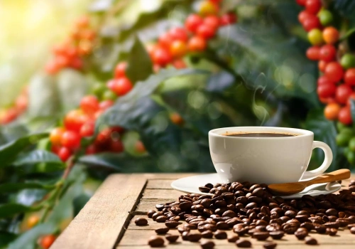 Ulewne deszcze niszczą uprawy kawy w Brazylii. Czy ceny ponownie wzrosną?