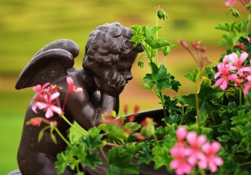 Jak powstają schematy myślowe i dlaczego tak trudno je zmienić