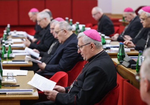 Jakie są zasady funkcjonowania Komisji niezależnych ekspertów?