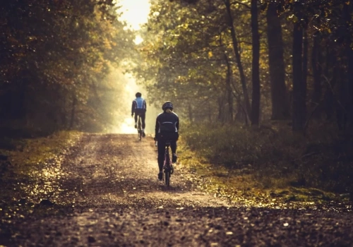 Jakie hamulce rowerowe wybrać – szczękowe czy tarczowe?