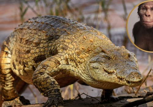 Największe zagrożenie dla ludzi. Zwą go 