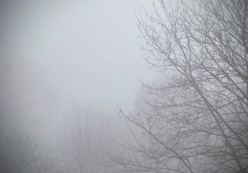 Gęsta mgła nad Lubelszczyzną. Widzialność miejscami spadła do 100 metrów