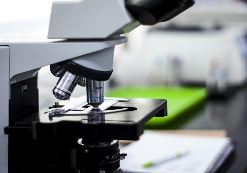 Nowy preparat opracowany w Krakowie może pomóc w walce z chorobami roślin