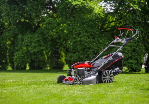 Wiosenne koszenie trawy a kondycja trawnika – o czym musisz pamiętać?