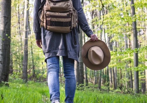 Obudziły się wcześniej niż zwykle. Leśnicy ostrzegają: 