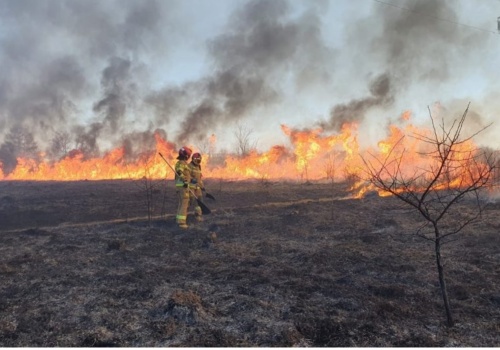 Uwaga rolnicy! Wypalanie traw może kosztować utratę dopłat