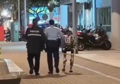 Robot nękał kobietę. Musiała interweniować policja