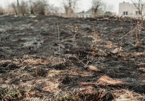 Tragedia w Pionkach... 50-latek znaleziony w ogniu