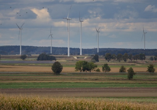 Samorządy przeciw dezinformacji. Wspólnie będą obalać mity na temat OZE
