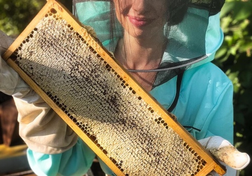 Pszczelara ambasadorką targów Expo2Bee. Autorka książki o pszczołach wystąpi w Kielcach