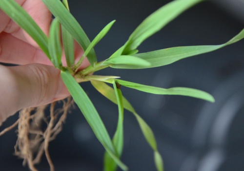 Szoki energetyczne a ceny żywności. Naukowcy sprawdzili, jak energia wpływa na rynek rolny