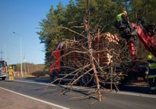 Drzewo spadło na ciężarówkę na DK11. Utrudnienia pod Jastrowiem