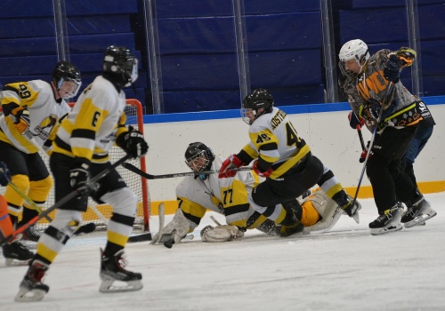 Hokeiści przystąpili do rywalizacji w ramach Mistrzostw Polski w Świdnicy!