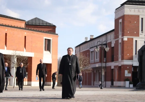 Orka na ugorze – kardynał Grzegorz Ryś otwiera diecezjalny synod