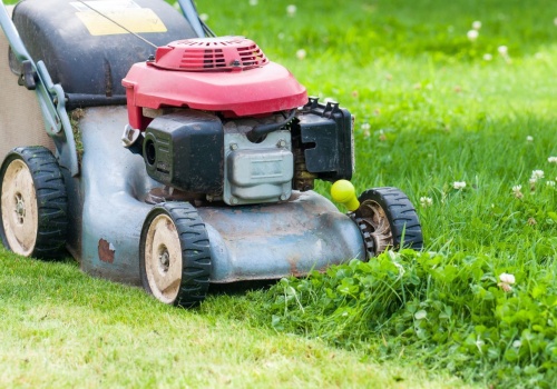 Polacy wciąż popełniają ten błąd podczas koszenia trawy. 500 zł kary to dopiero początek