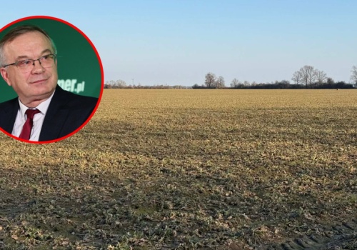 Prof. Szczepaniak: Oziminom brakuje wigoru. Zimna gleba i brak opadów hamują wiosenną regenerację i opóźniają działanie nawozów