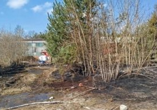 50-latek zginął w ogniu. Wypalał trawy