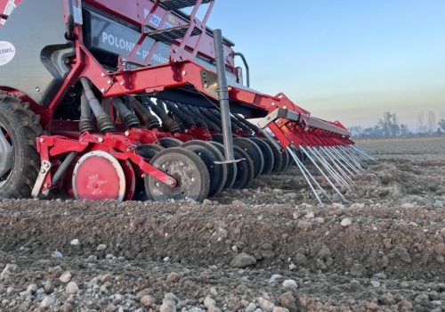 Udany siew zbóż jarych. Te parametry mają znaczenie