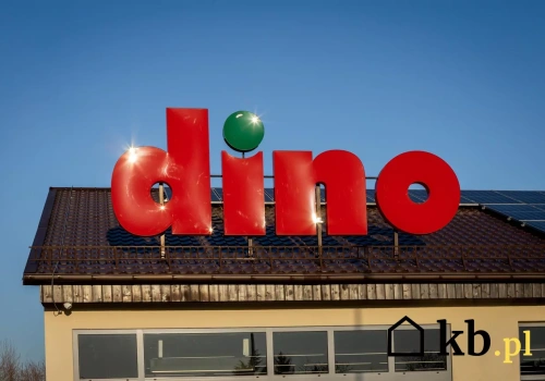 Dino straciło pozycję lidera. Nowa sieć handlowa ma już ponad 3200 sklepów