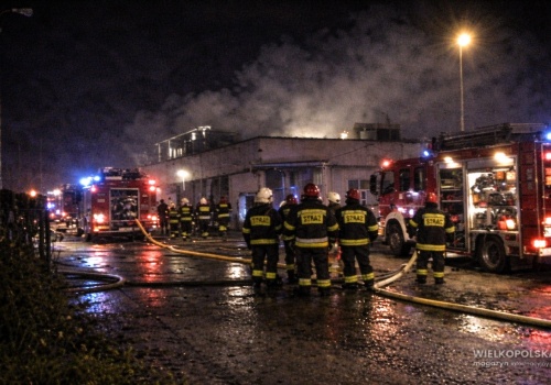 Pożar w zakładacz mięsnym. Kilkudziesięciu strażaków w akcji w Golinie