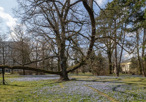 Jaka pogoda w weekend? Sobota pod znakiem słońca i nawet 19 st. C, później pojawi się deszcz