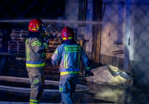 Czujka tlenku węgla, pożar trawy i zadymienie w mieszkaniu – pracowity dzień strażaków w powiecie raciborskim
