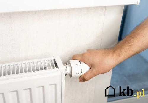 Na Islandii ten system ogrzewania działa genialnie. Dlaczego w Polsce to nadal rzadkość?