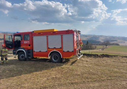 Pożar traw przy ul. Lotniczej w Tarnowie. Strażacy walczą z ogniem