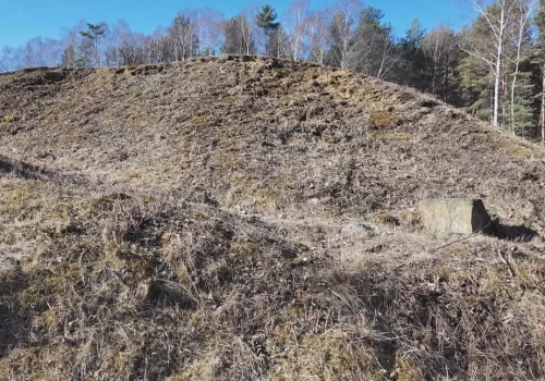 Jaworzno mało znane – Usypiska. Długoszyn kopce graniczne i podział wsi między biskupów i królów w XVI wieku