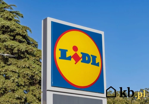 Lidl wycofuje bardzo popularny produkt ze sprzedaży. Wybierali go klienci z mniej zasobnym portfelem