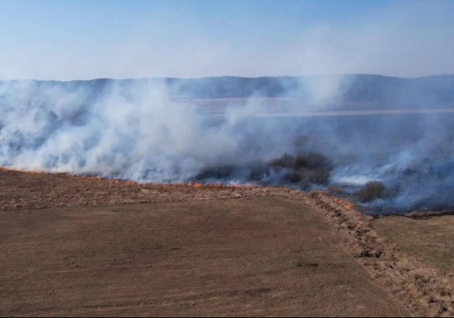 Duży pożar na Mazowszu. Walka z ogniem trwa już kilka godzin