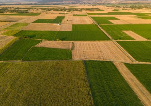 Ponad 6 tysięcy hektarów gruntów rolnych na sprzedaż w trzech województwach