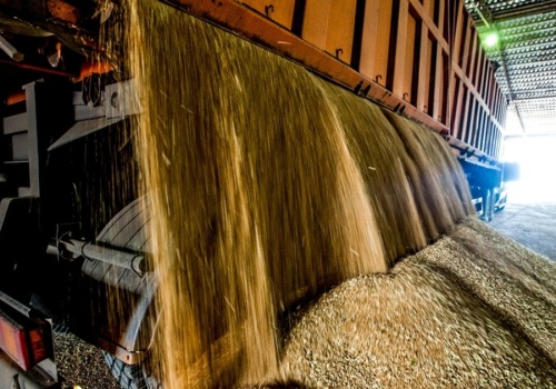 Resort rolnictwa chce jednocześnie zwiększyć rezerwy i eksport zboża